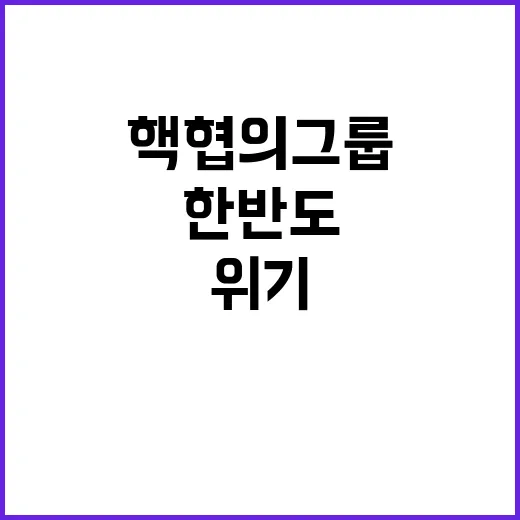 핵협의그룹 한반도 …