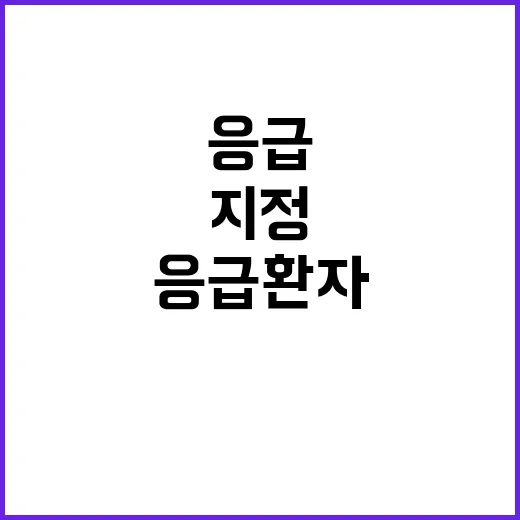 응급환자 15개 지역센터 지정 소식 공개!