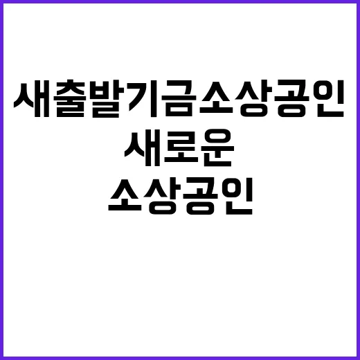 새출발기금 소상공인…