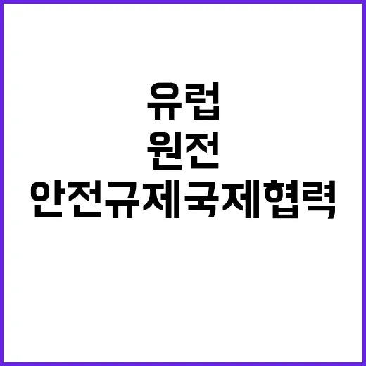 유럽 원전 안전규제 국제협력 어떻게 강화되나?