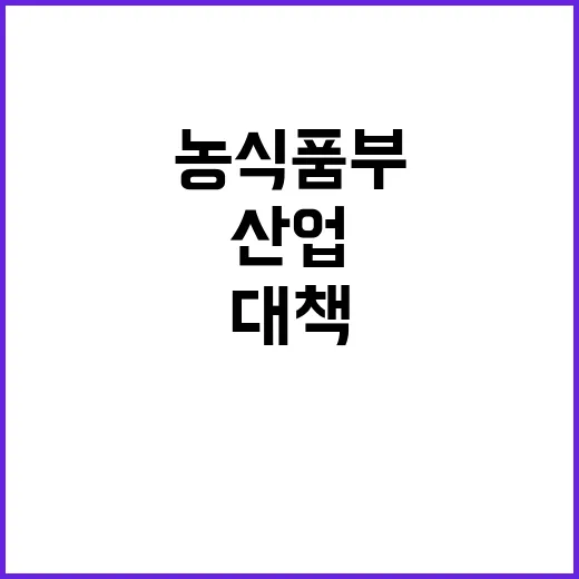 쌀 산업 대책 농식품부의 자생력 확보 비밀 공개!