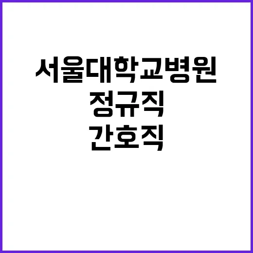 2024년도 서울대학교병원 간호직 블라인드 직원 채용 공고(장애인 특별우대)