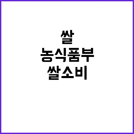 쌀 소비 확대 농식…