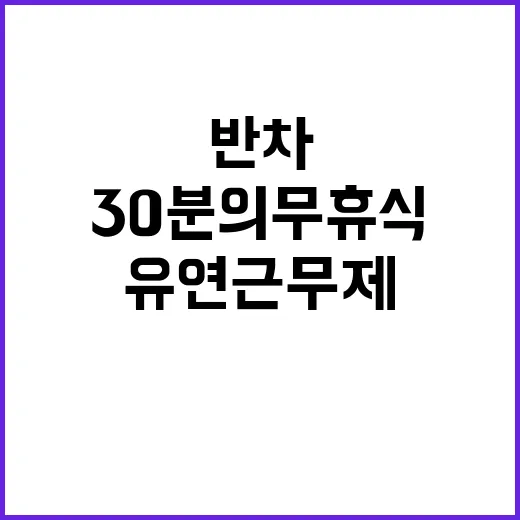 유연근무제 반차 후 30분 의무 휴식 면제!