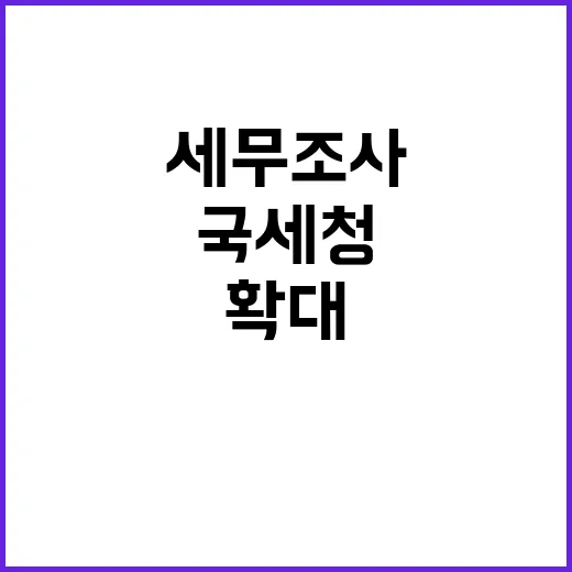 국세청 47개 업체 세무조사로 파문 확대!