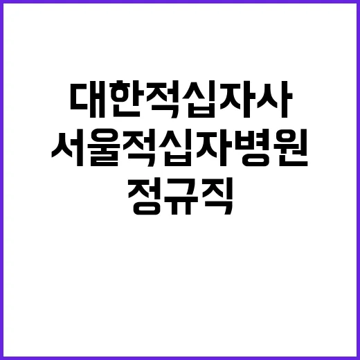 대한적십자사 정규직…