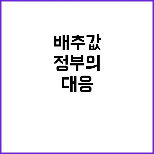 배추값 대폭 할인!…