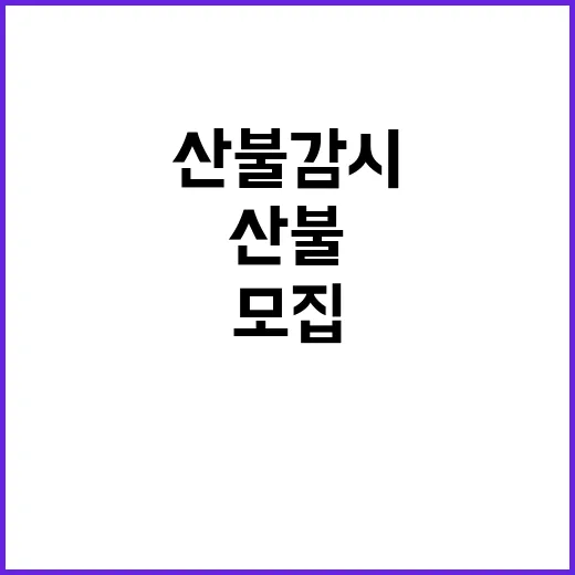 국립공원공단 비정규…