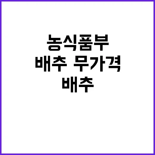 “하락세” 배추·무…