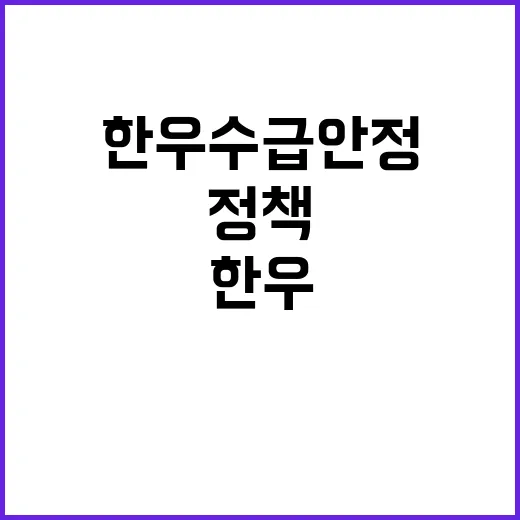 한우 수급 안정 방안 공개…정책 변화 예고!