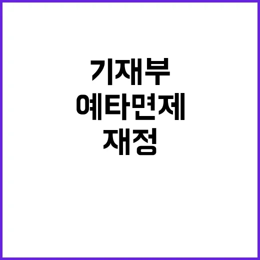 예타 면제 기재부의 진실과 국가재정법령의 비밀!