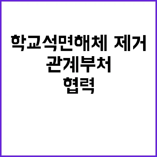 정부 학교 석면 해…