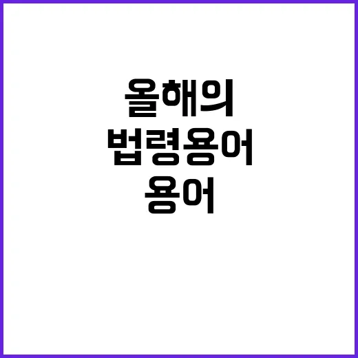 먼지 날림 올해의 …