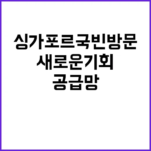 공급망 협력 한싱가포르 국빈 방문의 새로운 기회!