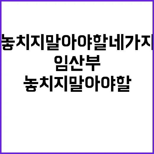 임산부 필수 놓치지…