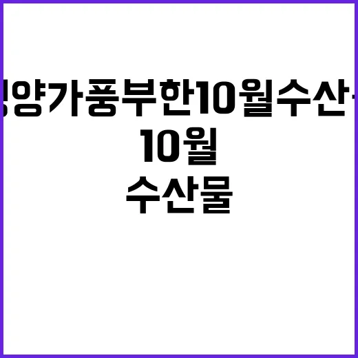 영양가 풍부한 10월 수산물 놓치지 마세요!