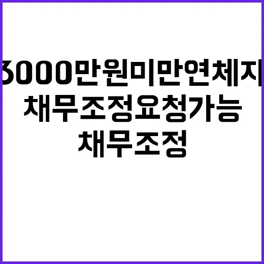 채무조정 요청 가능 3000만원 미만 연체자 주목!