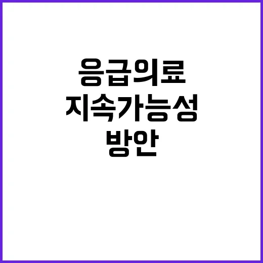 응급의료 수가 지원 지속 가능성 확보 방안은?