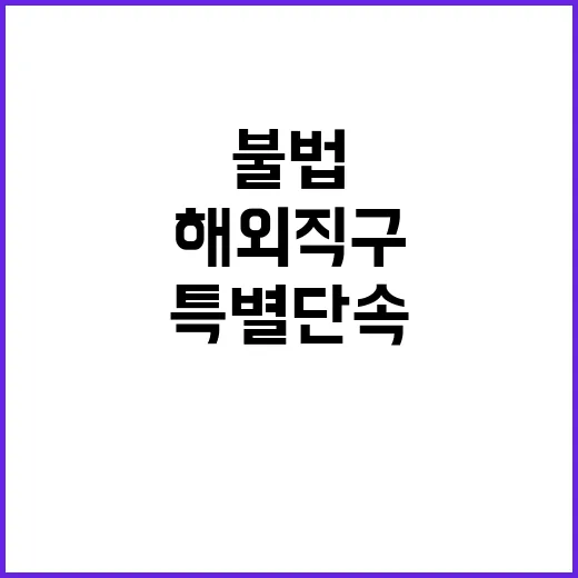 불법수입 특별단속 …