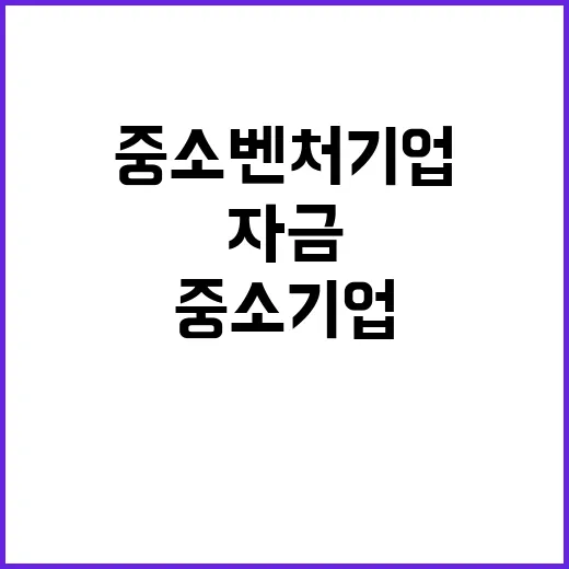 중소기업 자금 중소벤처기업 위해 특별 지원 한다!