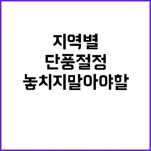 단풍 절정 놓치지 말아야 할 지역별 정보!