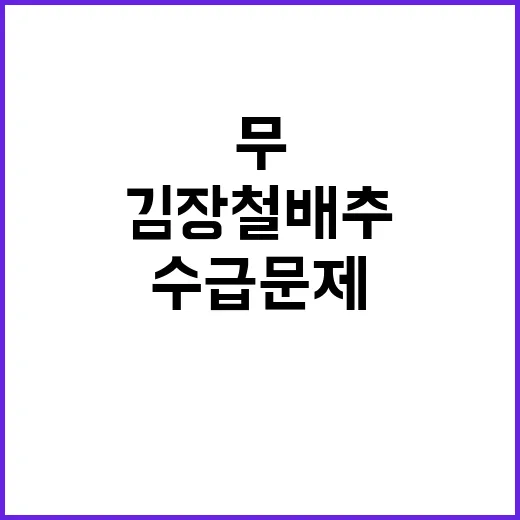 김장철 배추·무 수급 문제 해결 농식품부 발표!