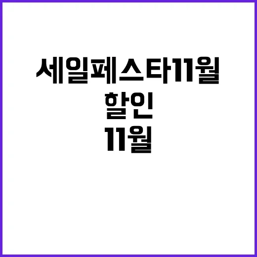 세일페스타 11월 …