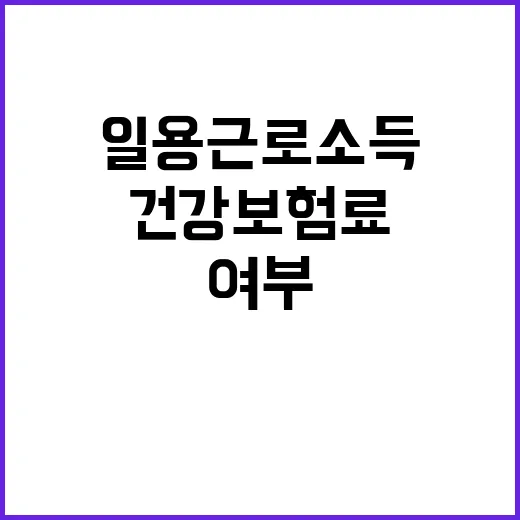 “일용근로소득 건강…