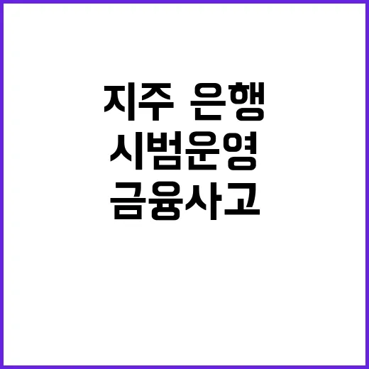 금융사고 방지 18곳 금융지주·은행 참여 시범운영!