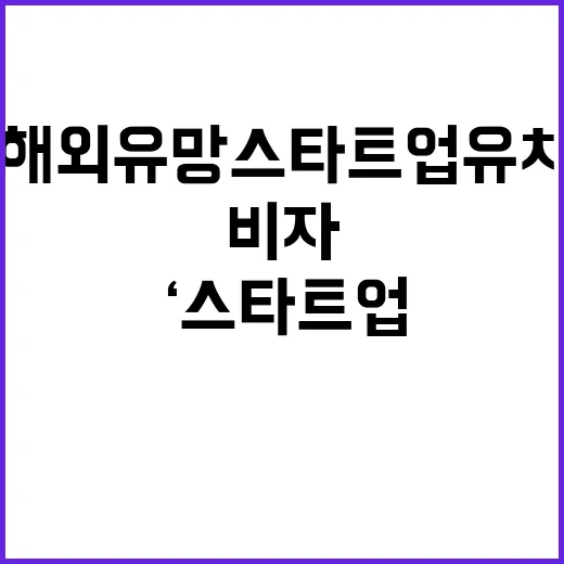 ‘스타트업 코리아’…