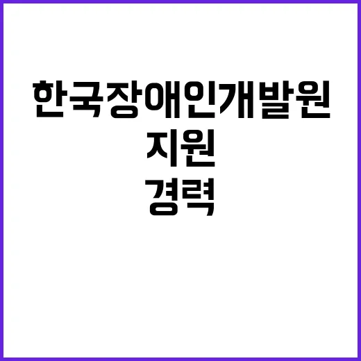 [2024-112호] 한국장애인개발원 2024년도 2차 정책지원부 정책지원팀 기간제계약직 채용 공고