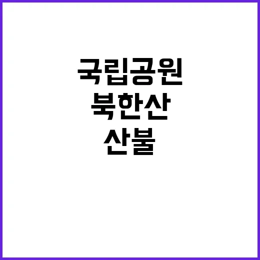 국립공원공단 비정규…