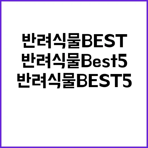 반려식물 BEST 5 사무실 환경 변화!