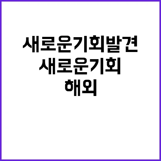 해외활동 국민과 기…