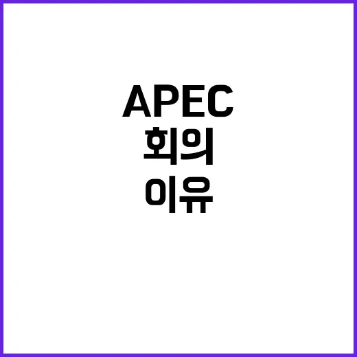 APEC 대회 브라…