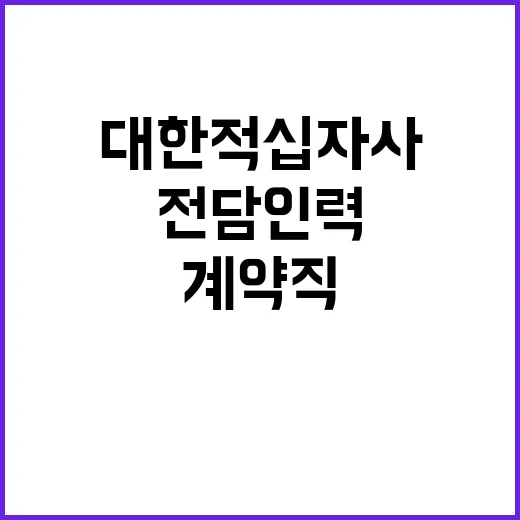 대한적십자사 비정규…