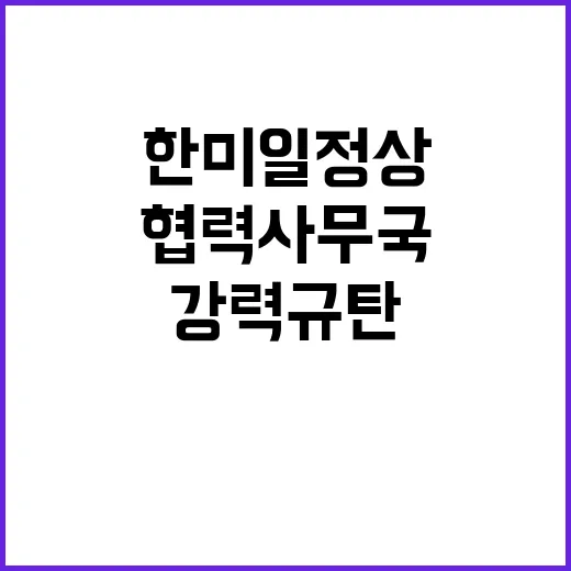 한미일 정상 불법 …