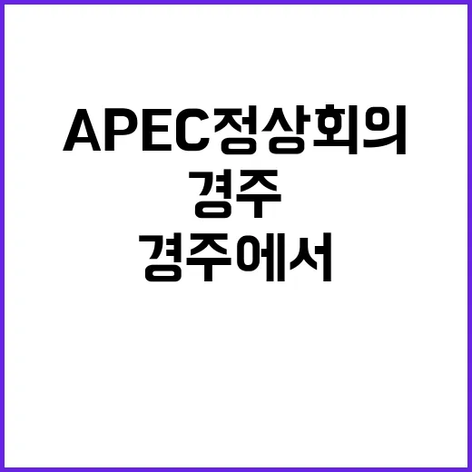 APEC 정상회의 …