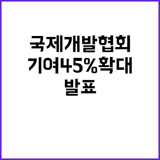 ‘저소득국’ 국제개…