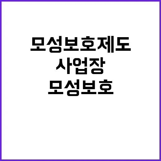 고용부 모성보호 제도 사업장 감독 사실은 이렇다