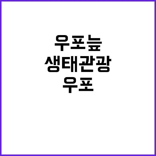 우포늪 12월 생태관광의 매력을 발견하세요!