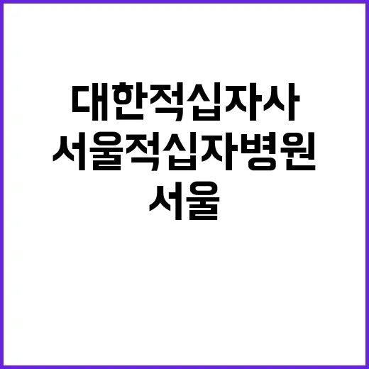 서울적십자병원 계약직 응급구조사 신규채용 공고