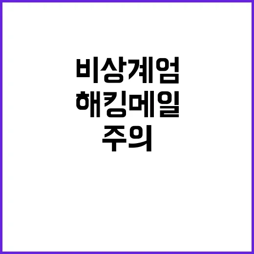 ‘비상계엄 정보’ 해킹 메일 주의 필수!