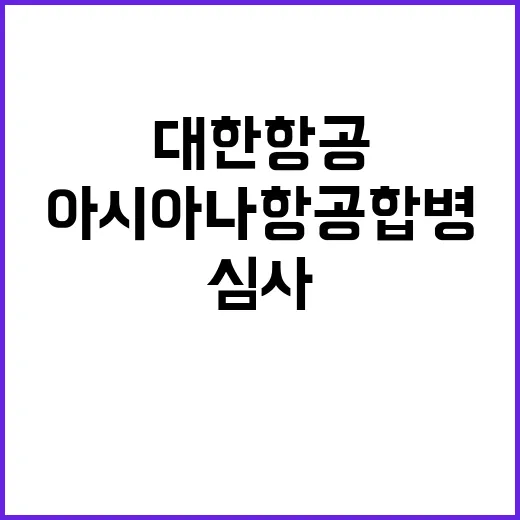 대한항공아시아나항공…