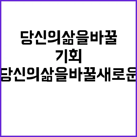 경제 안정 당신의 삶을 바꿀 새로운 기회!