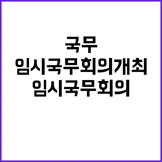 국조실 임시 국무회의 개최 여부 미정 발표!