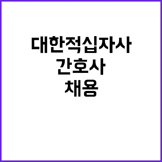 서울적십자병원 계약직 직원(휴직대체 정형외과 전담간호사, 기능직(장애인제한경쟁) 사무보조원) 신규채용 공고