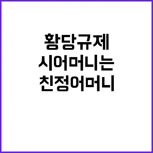 황당 규제 시어머니는 되고 친정어머니는 못 하다?