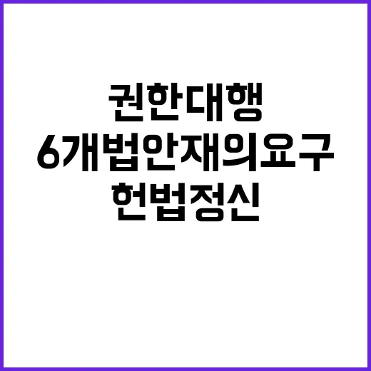 권한대행 헌법정신 우선 고려한 6개 법안 재의요구!