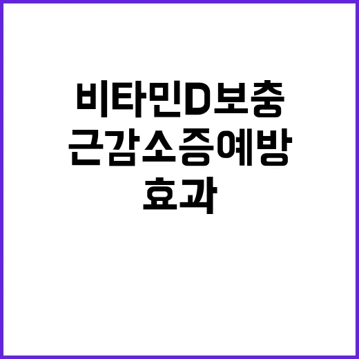 비타민D 보충 노인…